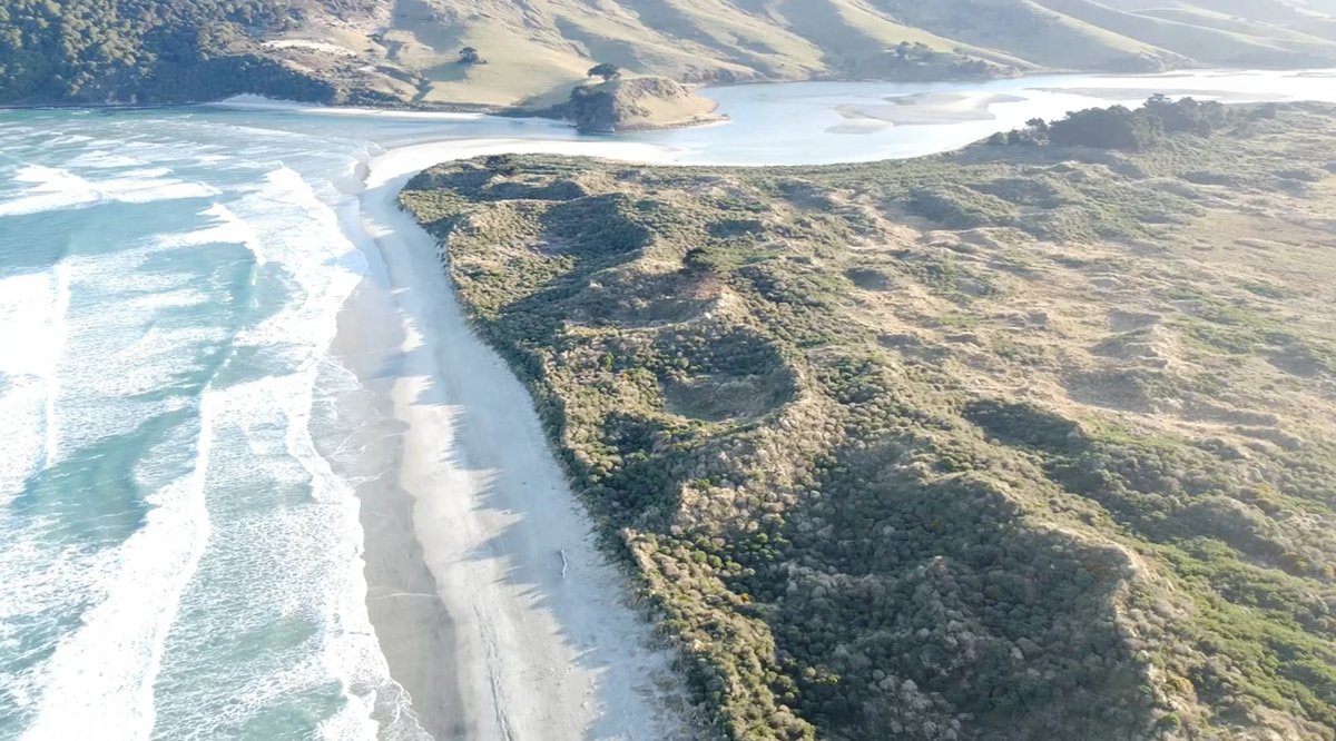 The dunes and estuary curve away behind the beach, classic Otago Peninsula wildness, Allans Beach surf spot, Dunedin / Otago,