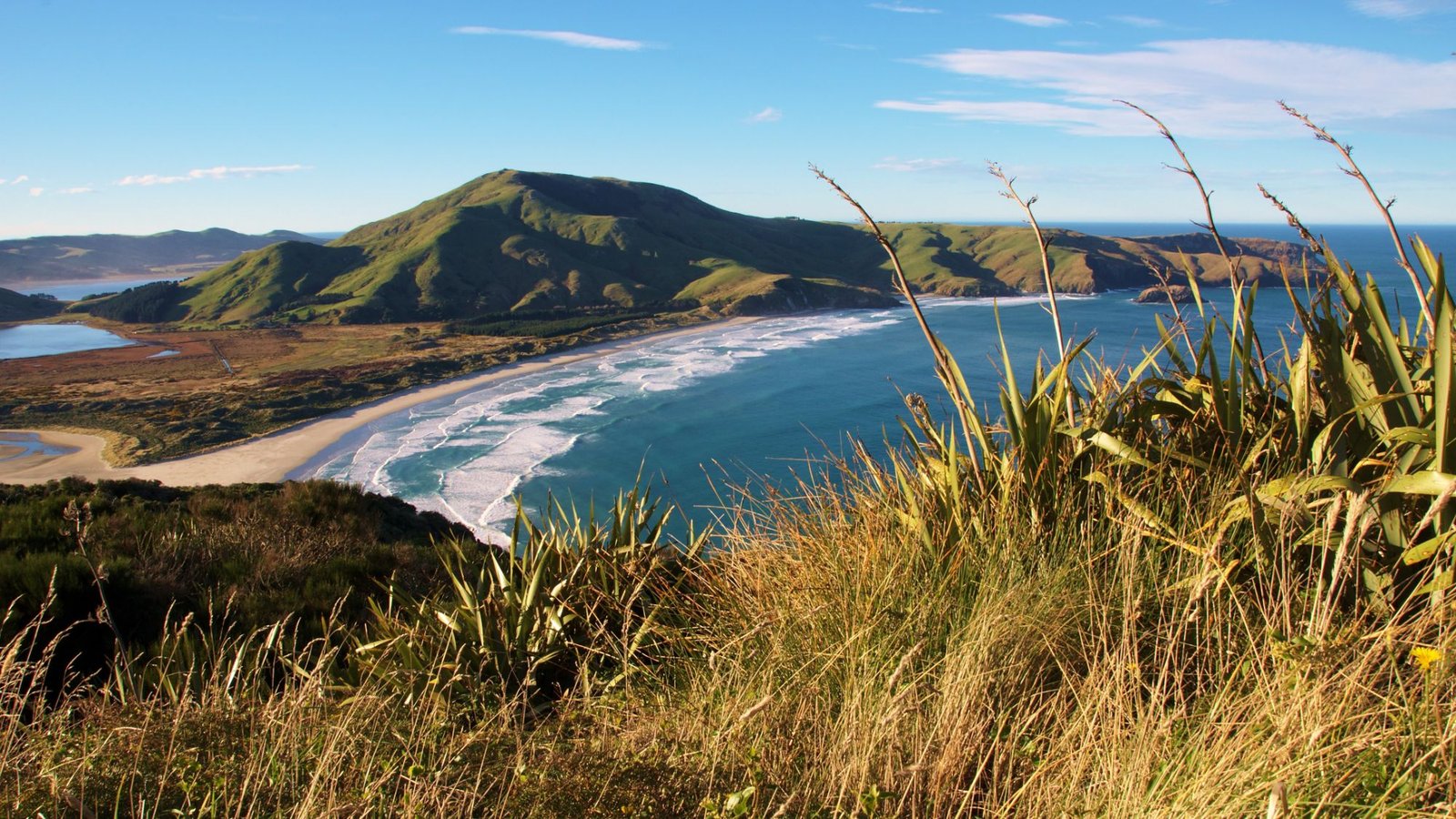 Allans Beach surf spot