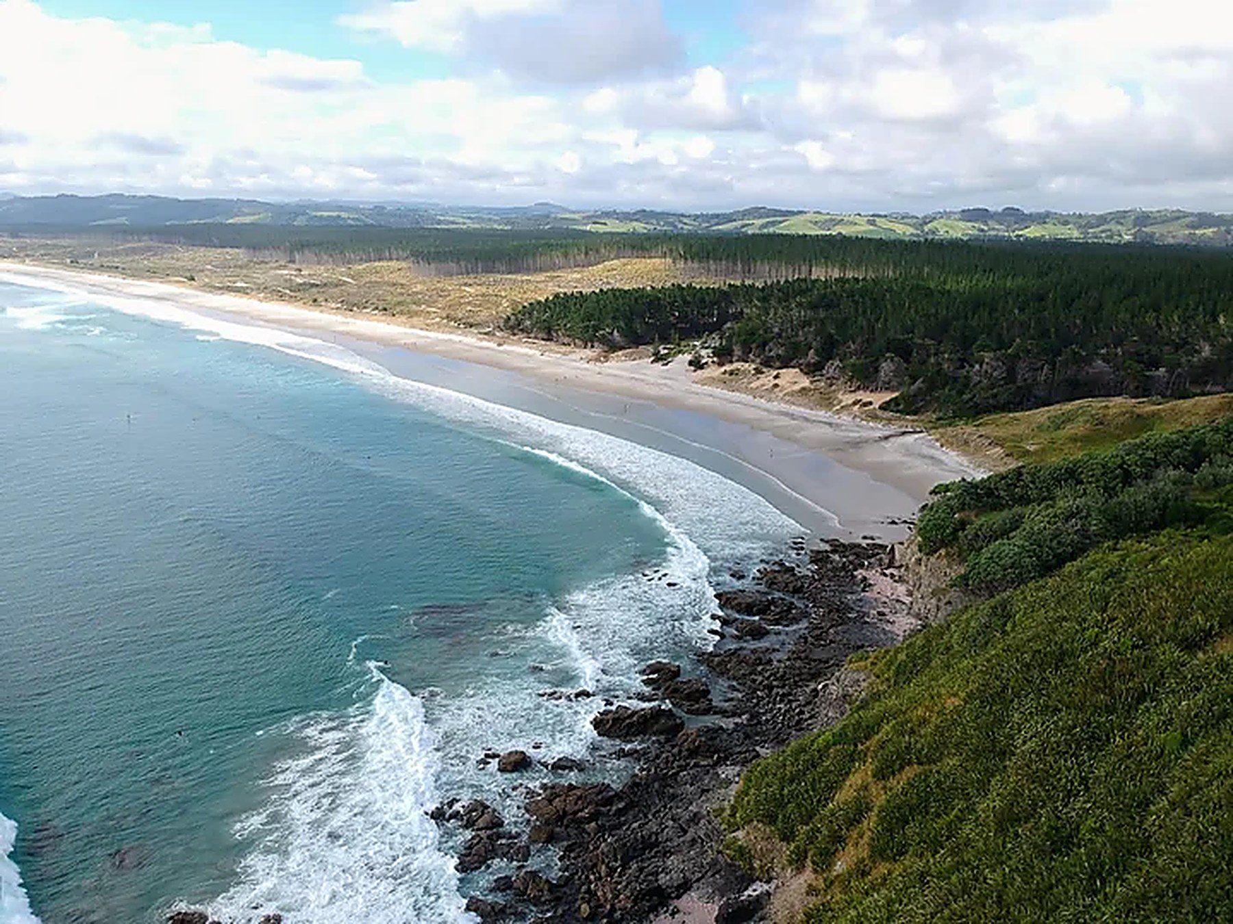 Forestry surf spot