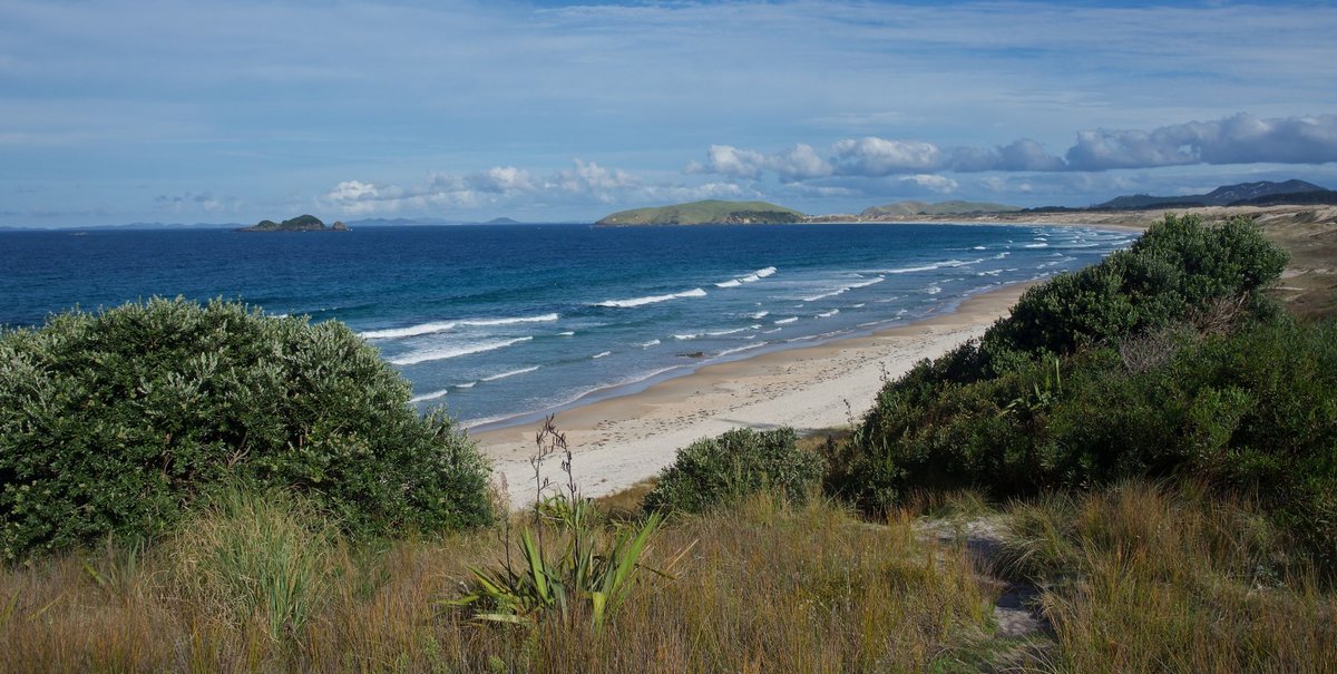 Looking down the bay with the island offshore, Henderson Bay surf spot, Northland East, New Zealand.