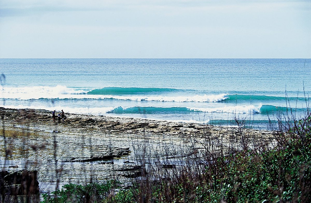 Surfers crossing the reef to paddle out, Henderson Bay surf spot, Northland East, New Zealand.