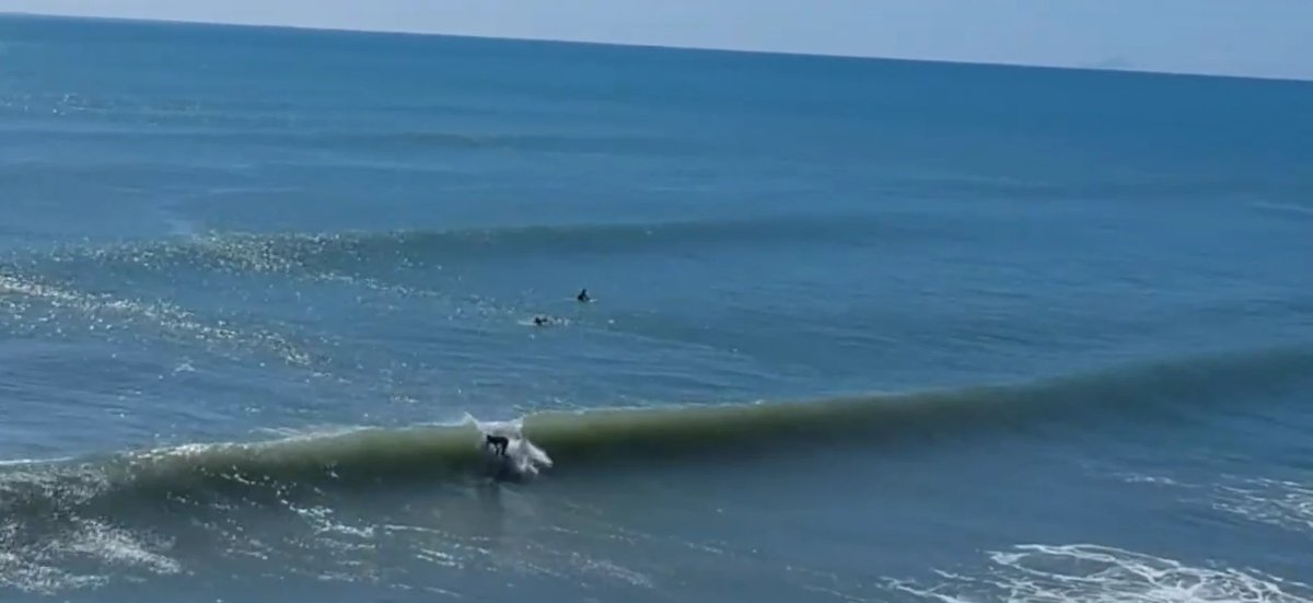 Clean drop on a small Newdicks day. The wave wraps off the reef into a fast inside section, Newdicks surf spot, Bay of Plenty