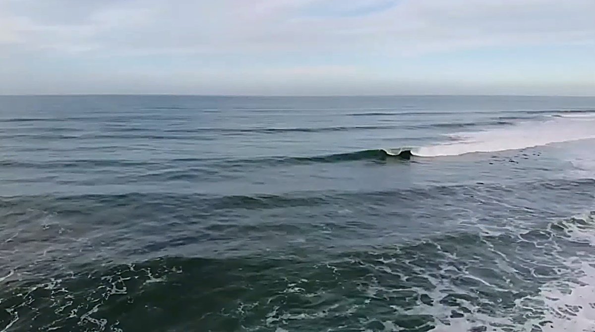 A clean little wedge stands up and peels on a grey, glassy morning, Oamaru surf spot, Dunedin / Otago, New Zealand.