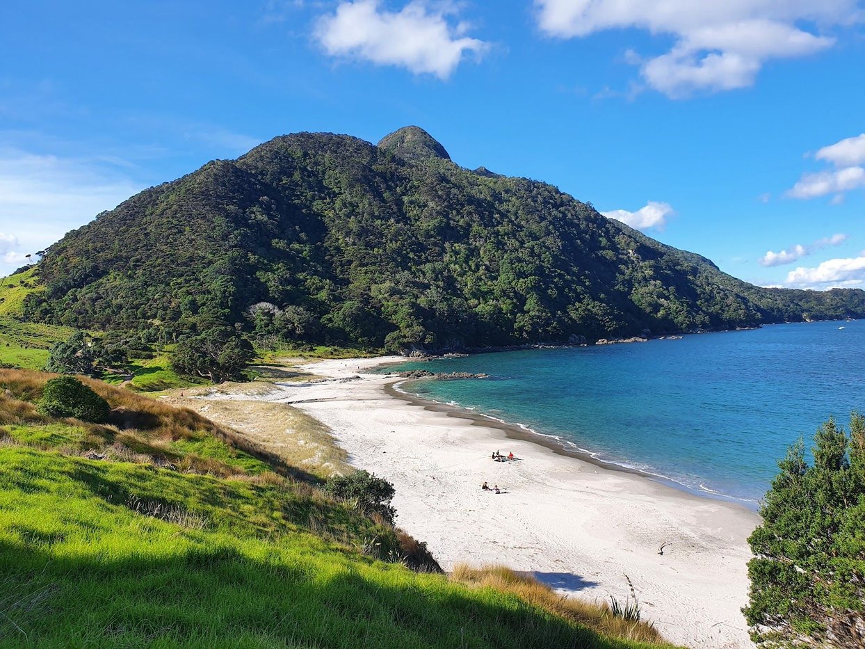 Bream Head looming over the bay, Ocean Beach surf spot, Northland East, New Zealand.