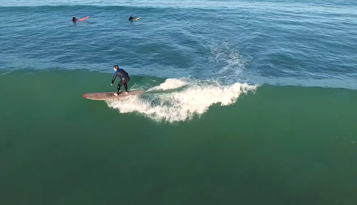 Cross-stepping a log down a soft green wall, classic Colac Bay cruising, Ōraka / Colac Bay surf spot, Catlins / Southland, Ne