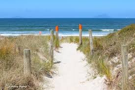The sand path through the dunes to the beach, Ruakākā surf spot, Northland East, New Zealand.