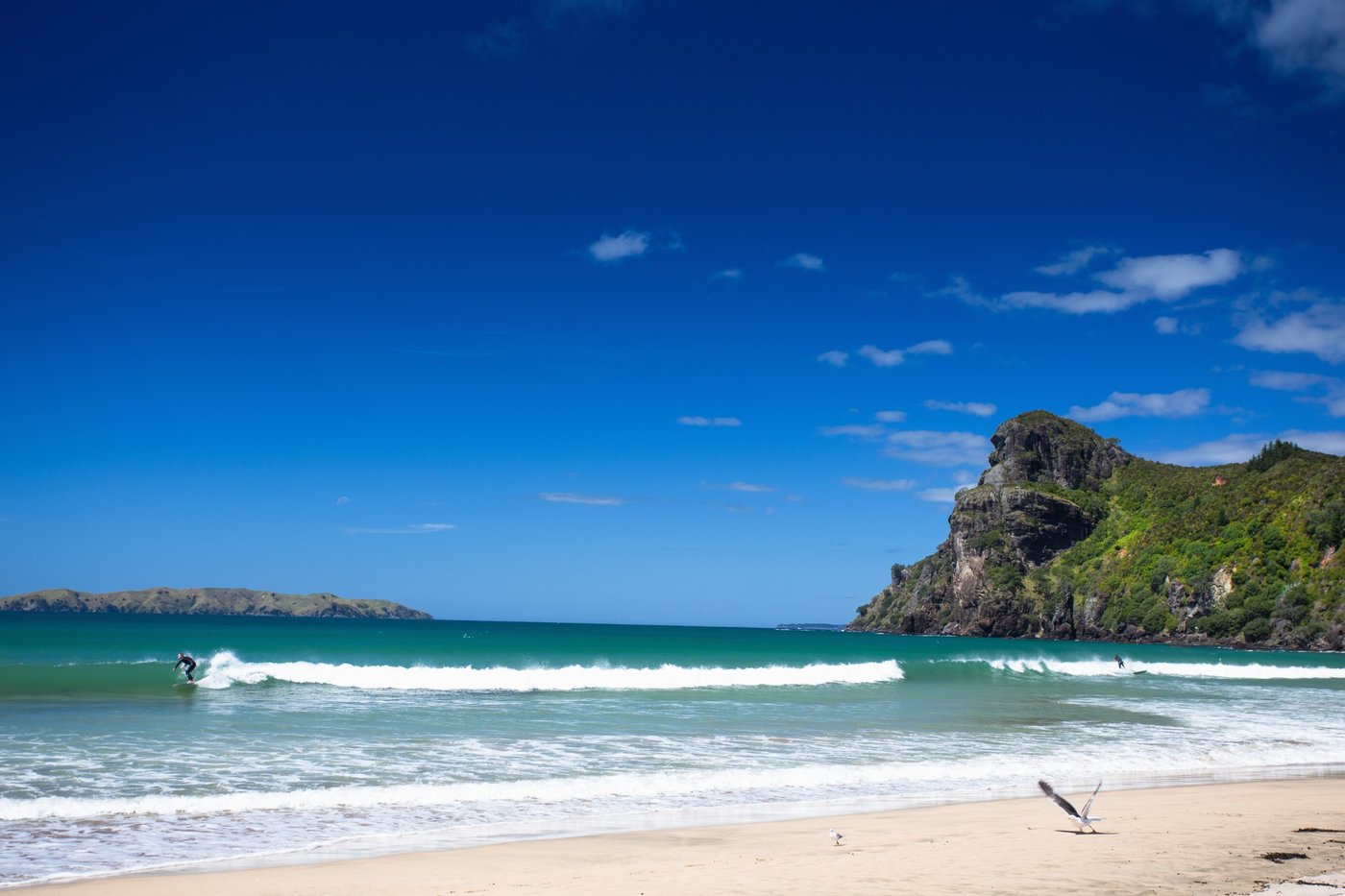 A clean day at the bay, surfers spread across the peaks, Taupo Bay surf spot, Northland East, New Zealand.