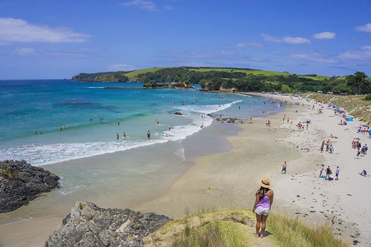 Summer day at Anchor Bay, Tawharanui surf spot, Auckland / Rodney, New Zealand.