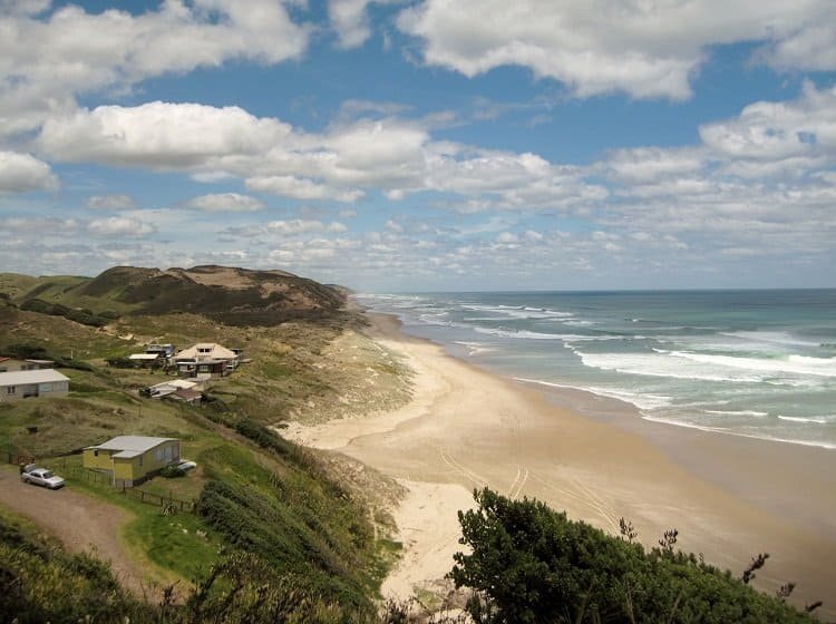 The bach community above the beach, The Bluff surf spot, Northland West, New Zealand.