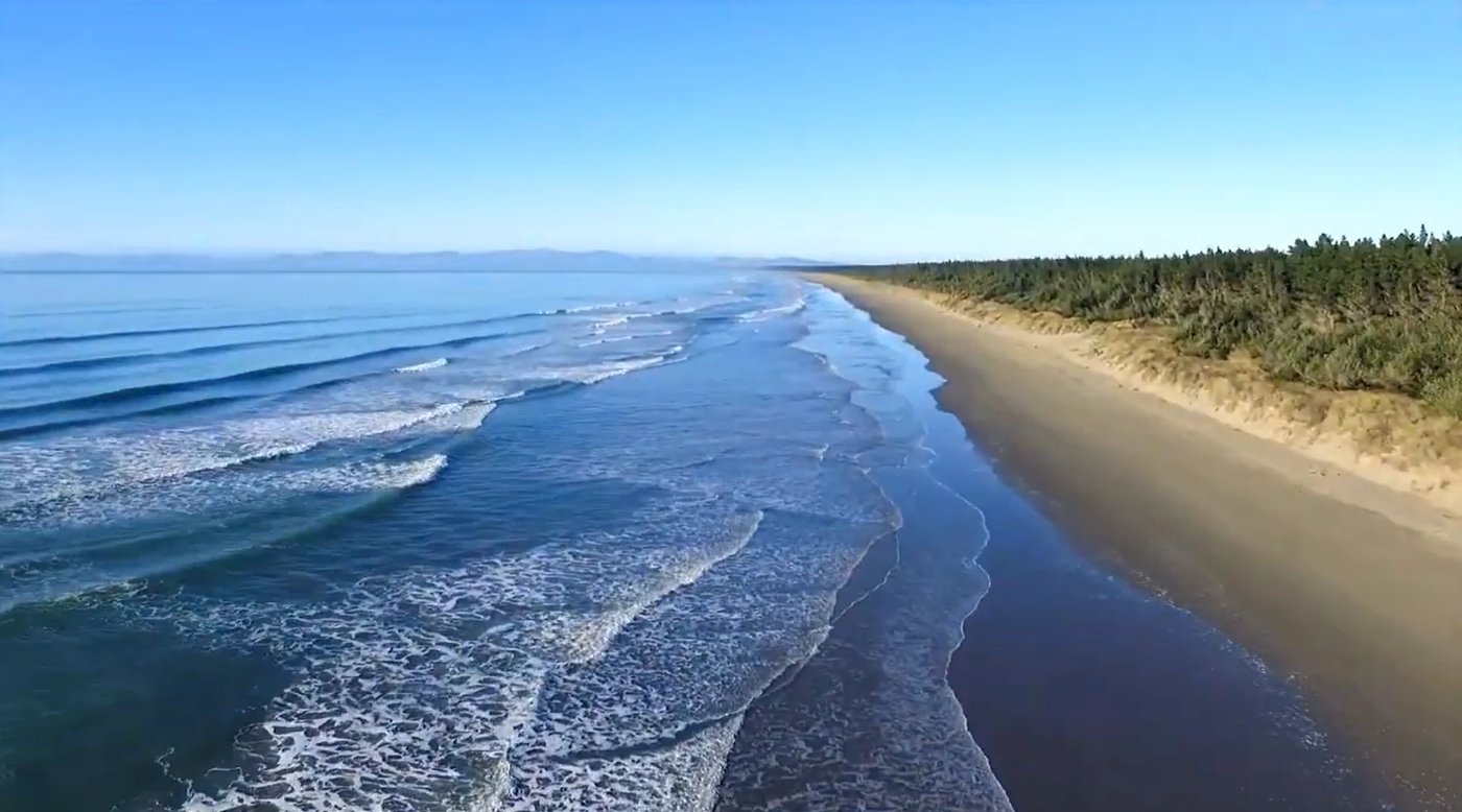 Kilometres of quiet sand backed by dunes and pine forest, the easy north Canterbury beach you can almost have to yourself, Wa