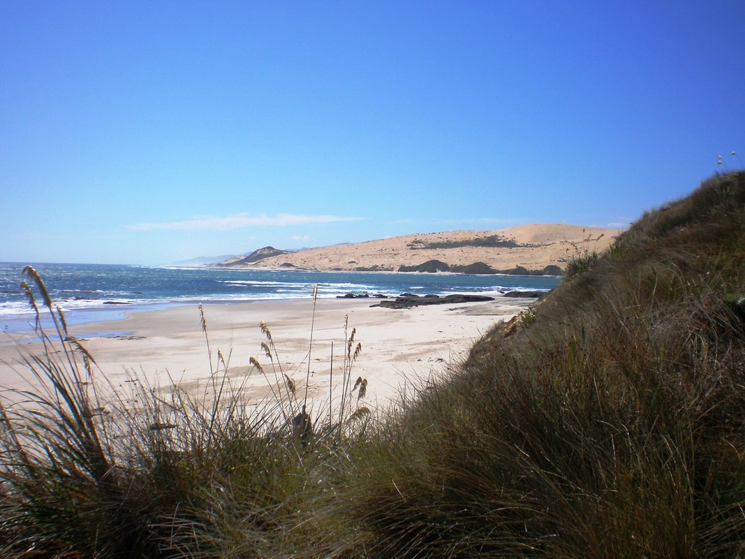 Sandy beach with the Hokianga dunes rolling up behind, Waimamaku surf spot, Northland West, New Zealand.