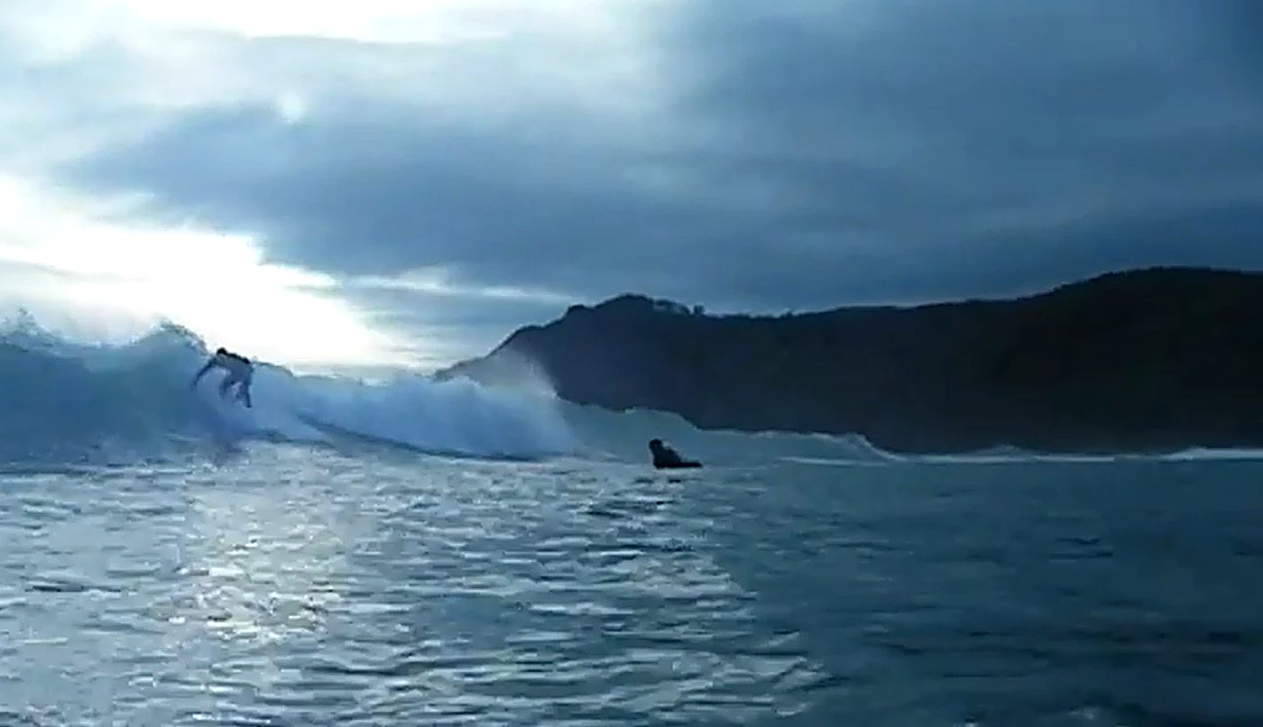 A lone surfer slides through soft dusk light, the headland fading behind on a wild, empty evening, Whangamoa surf spot, Marlb