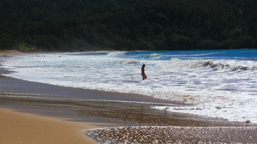 Late afternoon on the sand at New Chums. The kind of empty beach the walk-in protects, Whangapoua / New Chums surf spot, Coro